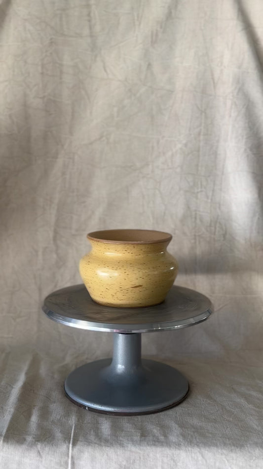 Marigold pot