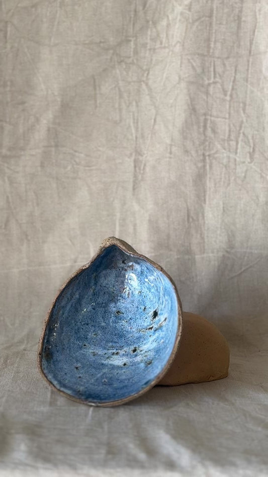 Seashell